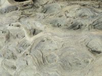 wood_03