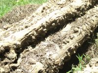 wood_07