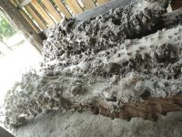 wood_09
