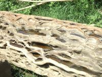 wood_10
