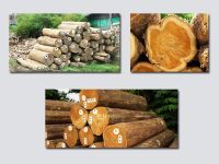 wood_16